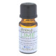 Lime Fragrance Oil 100ml Bottle