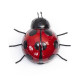 Metal Magnetic Ladybird