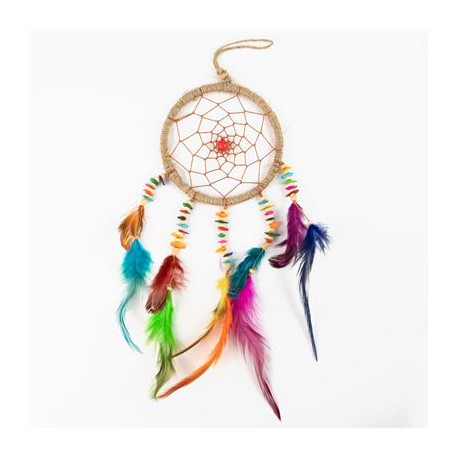 Multi Coloured Dream Catcher Medium