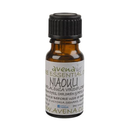 Niaouli Essential Oil -Melaleuca viridiflora- 100ml Special Offer