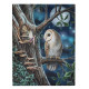 Owl &amp; Fairy Canvas Picture by Lisa Parker