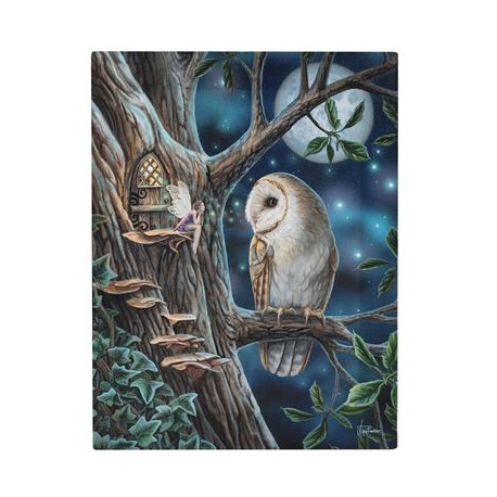 Owl & Fairy Canvas Picture by Lisa Parker