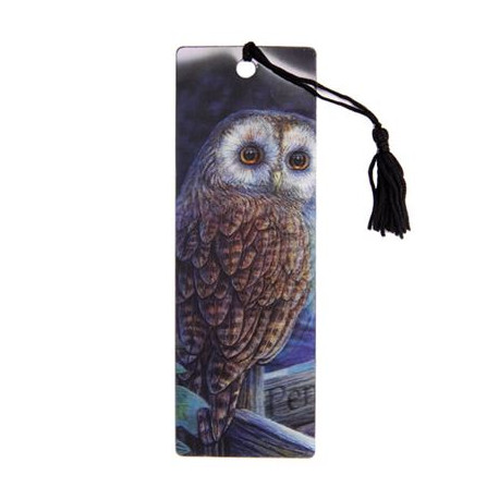 Owl On Signpost 3D Bookmark by Lisa Parker