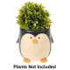 Penguin Planter Large