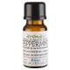 Peppermint Fragrance Oil 100ml