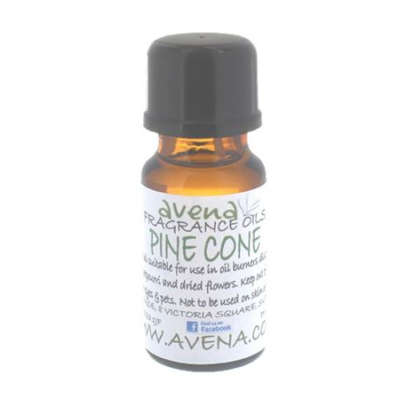 Pine Cone Fragrance Oil 100ml Bottle