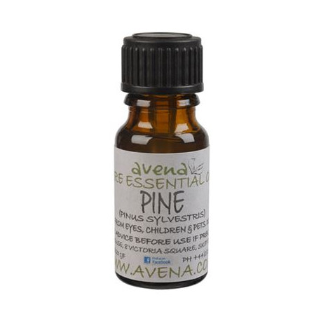 Pine Essential Oil -Pinus sylvestris- 100ml Special Offer