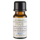 Pine Fragrance Oil 100ml Bottle