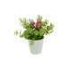 Pink Small Pot Realistic Artificial Plant