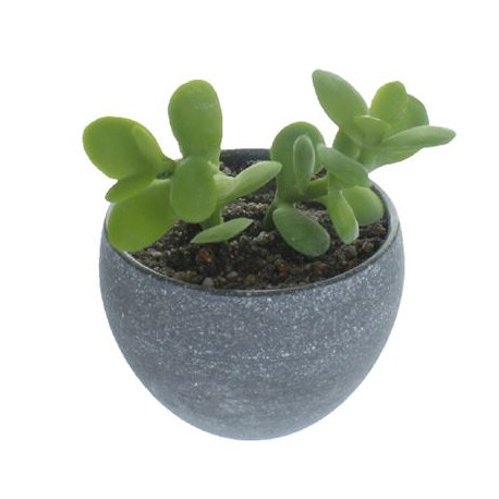 Realistic Artificial Succulent Plant In Grey Plant Pot 10cm