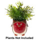 Robin Planter Large