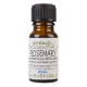 Rosemary Essential Oil -Rosmarinus officinalis- 100ml Special Offer