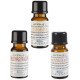 Seasonal Set Gift Set of Three Full Strength Fragrance Oils