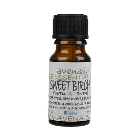 Sweet Birch Essential Oil -Betula lenta- 100ml Special Offer