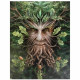 Tree Man Canvas Picture by Anne Stokes