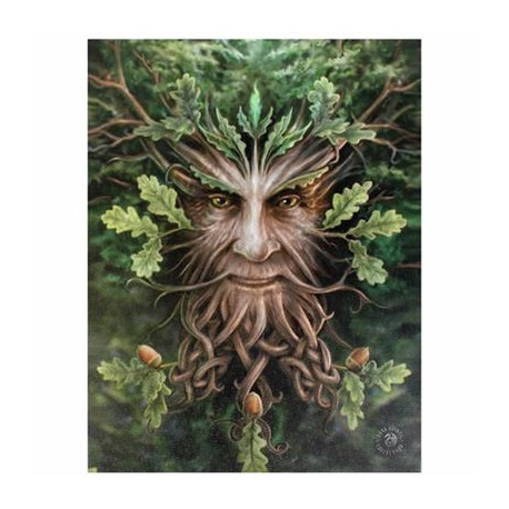 Tree Man Canvas Picture by Anne Stokes