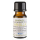 Vanilla Fragrance Oil 100ml