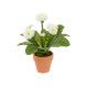 White Bellis Pot Realistic Artificial Plant