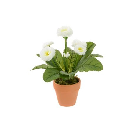 White Bellis Pot Realistic Artificial Plant