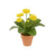 Yellow Bellis Pot Realistic Artificial Plant