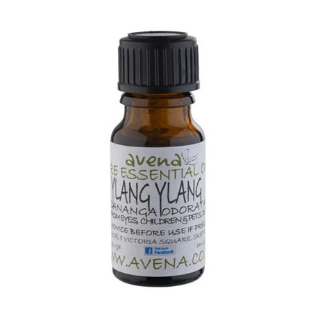 Ylang Ylang Essential Oil -Cananga odorata- 100ml Special Offer