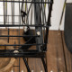 PawHut 1.53(m) Bird Cage, Pet Viary, Feeding Stand, with Wheels, Perch