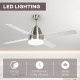 Ceiling Fan with LED Light, Flush Mount Ceiling Fan Lights with Reversible Blades, Remote, Silver and Black