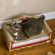 PawHut Cat Cardboard Scratcher, Lounge Sofa Bed with Catnip, 58 x 29.5 x 29cm