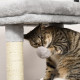 PawHut Cat Tree for Indoor Cats Climbing Tower Kitten Scratch Post Activity Center Kitten with Massage Toy Hanging Ball Bed Cond