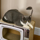 PawHut TV-Shaped Scratching Board with Scratcher, Catnip, Toy Rat, Cat Scratcher for Indoor Cats, 43 x 23 x 32.5cm