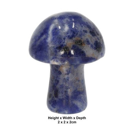 Sodalite Carved & Polished Mushroom