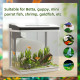 PawHut 13L Glass Aquarium Fish Tank with Filter, LED Lighting, for Betta, Guppy, Mini Parrot Fish, Shrimp, 29 x 20 x 30.5cm