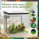 PawHut 28L Glass Aquarium Fish Tank with Filter, LED Lighting, for Betta, Guppy, Mini Parrot Fish, Shrimp, 38 x 26 x 39.5cm