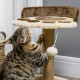 PawHut 44cm Cat Tower, Cat Tree for Indoor Cats, with Sisal Cat Scratching Post, Toy Ball - Brown