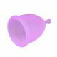 35ml Medical Grade Silicone Menstrual Cup Reusable Lady Cup - Purple