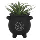 Pentagram Cauldron Plant Pot