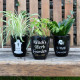 Witch&#039;s Herb Garden Plant Pot