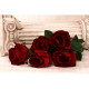 Velvet Large Rose Red 50cm