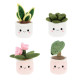 Plant Bobballs 12cm (Assorted)