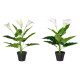 Set of 2 Artificial Realistic Calla Lily Flower, Faux Decorative Plant in Nursery Pot for Indoor Outdoor Décor, 55cm