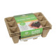 Square Fibre Pots 4cm (Pack of 36)