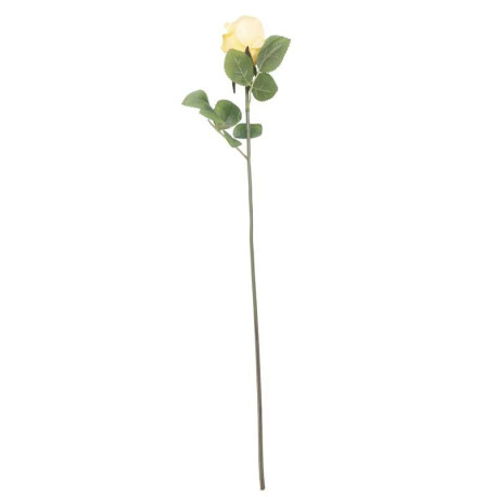 Arundel Rose Bud Yellow