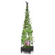 206 cm Garden Obelisk Trellis for Climbing Plants