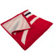 Arsenal FC Pulse Towel