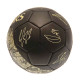 Tottenham Hotspur FC Sig Gold Phantom Skill Ball