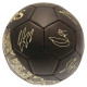 Tottenham Hotspur FC Sig Gold Phantom Football