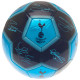 Tottenham Hotspur FC Sig 26 Football