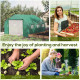 Outsunny Walk-in Polytunnel Garden Greenhouse, Outdoor Mesh Door Greenhouse with PE Cover and 6 Windows, 3.5 x 3 x 2m, Green