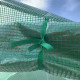 Outsunny Walk-in Polytunnel Garden Greenhouse, Outdoor Mesh Door Greenhouse with PE Cover and 6 Windows, 3.5 x 3 x 2m, Green