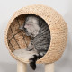 PawHut Cat Tree for Indoor Cats 100cm Kitten Climbing Tower Activity Center with Sisal Scratching Post Condo Perch Hanging Balls